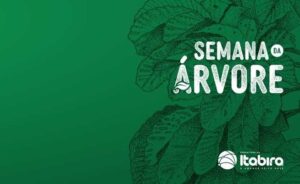 Leia mais sobre o artigo Semana da Árvore 2023 traz programação gratuita com o tema Economia Criativa e Sustentabilidade