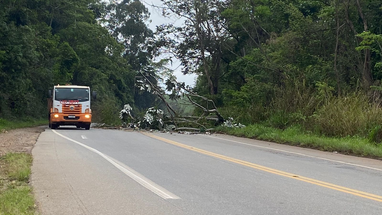 Leia mais sobre o artigo RISCO DE ACIDENTE NA ESTRADA DOS BAMBAS – 04/10