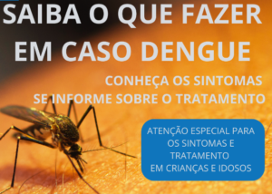 Leia mais sobre o artigo Dengue: Conhecendo os Sintomas e as Medidas de Tratamento