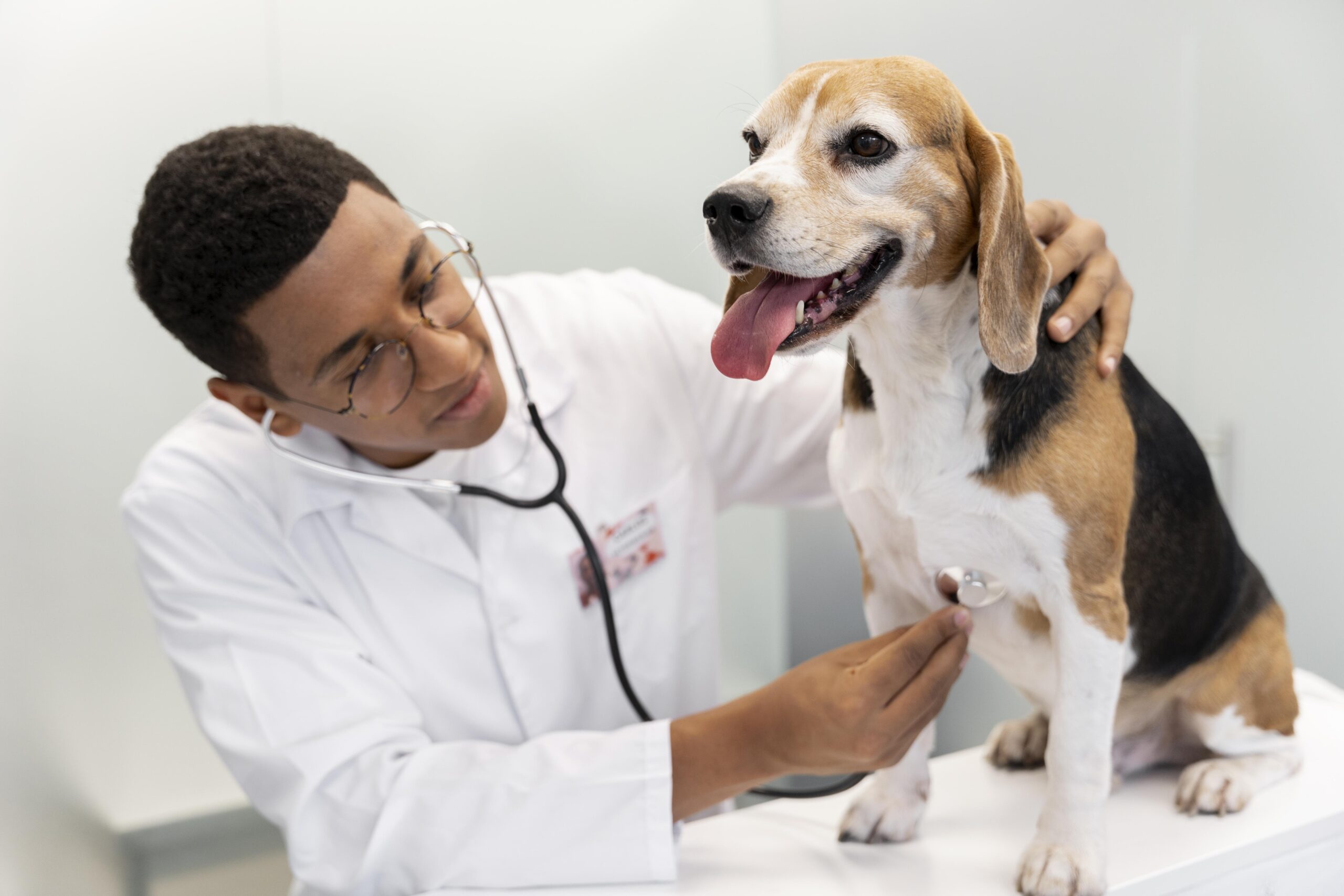 Leia mais sobre o artigo Bem-Estar e Cuidado Animal: Como os Veterinários Garantem a Saúde e a Felicidade dos Nossos Amigos