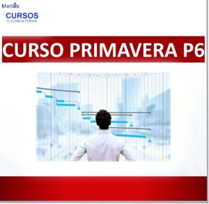 Leia mais sobre o artigo Primavera P6: A Chave para Transformar Sua Carreira em Projetos Complexos