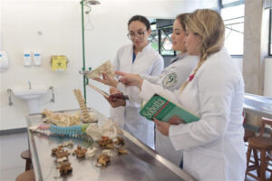 Leia mais sobre o artigo Vale detalha ampliação de cavas em Itabira e reforça compromisso com o desenvolvimento sustentável da região