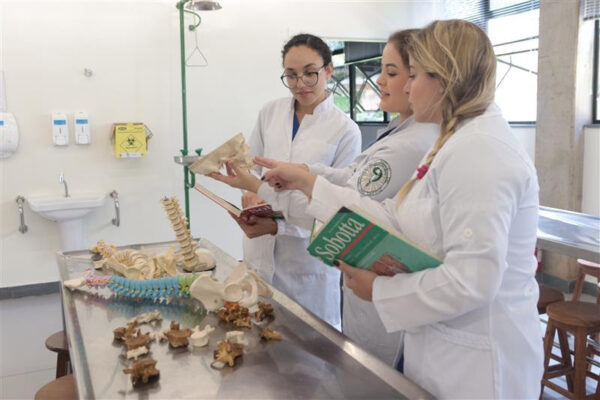 Vale detalha ampliação de cavas em Itabira e reforça compromisso com o desenvolvimento sustentável da região