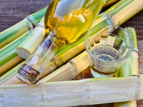 Leia mais sobre o artigo Cachaça motivou a primeira revolta popular do Brasil colonial