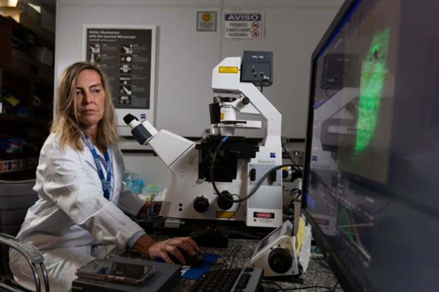 Polilaminina coloca UFRJ no centro de avanço promissor contra lesões medulares