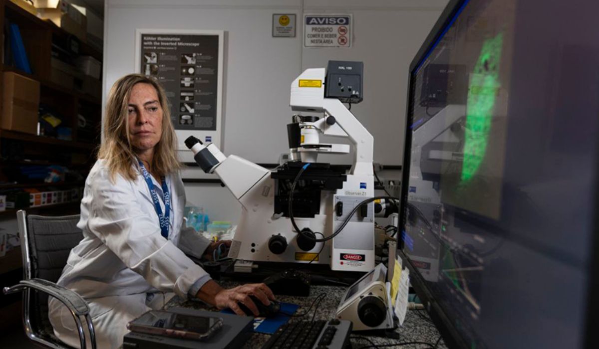 No momento você está vendo Polilaminina coloca UFRJ no centro de avanço promissor contra lesões medulares