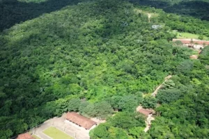 Leia mais sobre o artigo Parque Estadual Mata do Limoeiro: de área ameaçada a símbolo de preservação em Itabira
