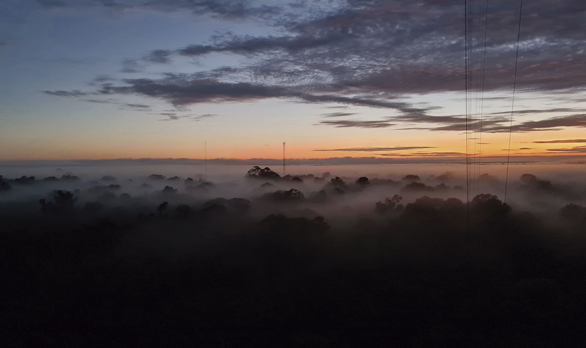 No momento você está vendo Nevoeiro da Amazônia revela vida invisível e pode ajudar na regeneração da floresta