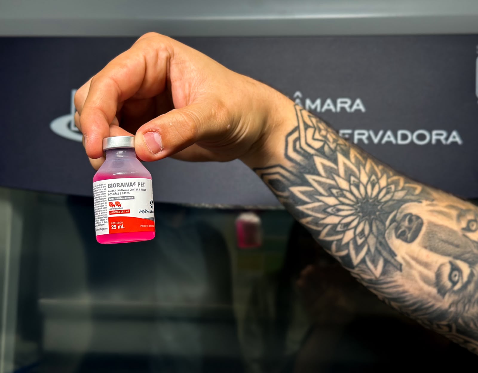 No momento, você está visualizando Prefeitura de Itabira amplia vacinação antirrábica com Dias D em 15 e 29 de agosto; confira os locais