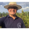 Médico de Itabira ganha destaque nacional na revista Globo Rural por inovação na produção de vinhos de inverno