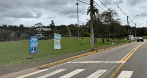 Leia mais sobre o artigo QUANDO A CAMPANHA POLÍTICA VIRA POLUIÇÃO VISUAL