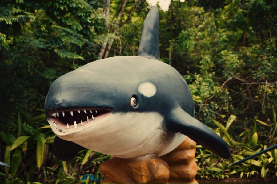 Baleia de quase 10 metros e gigantes do oceano invadem a Mata do Intelecto em exposição gratuita